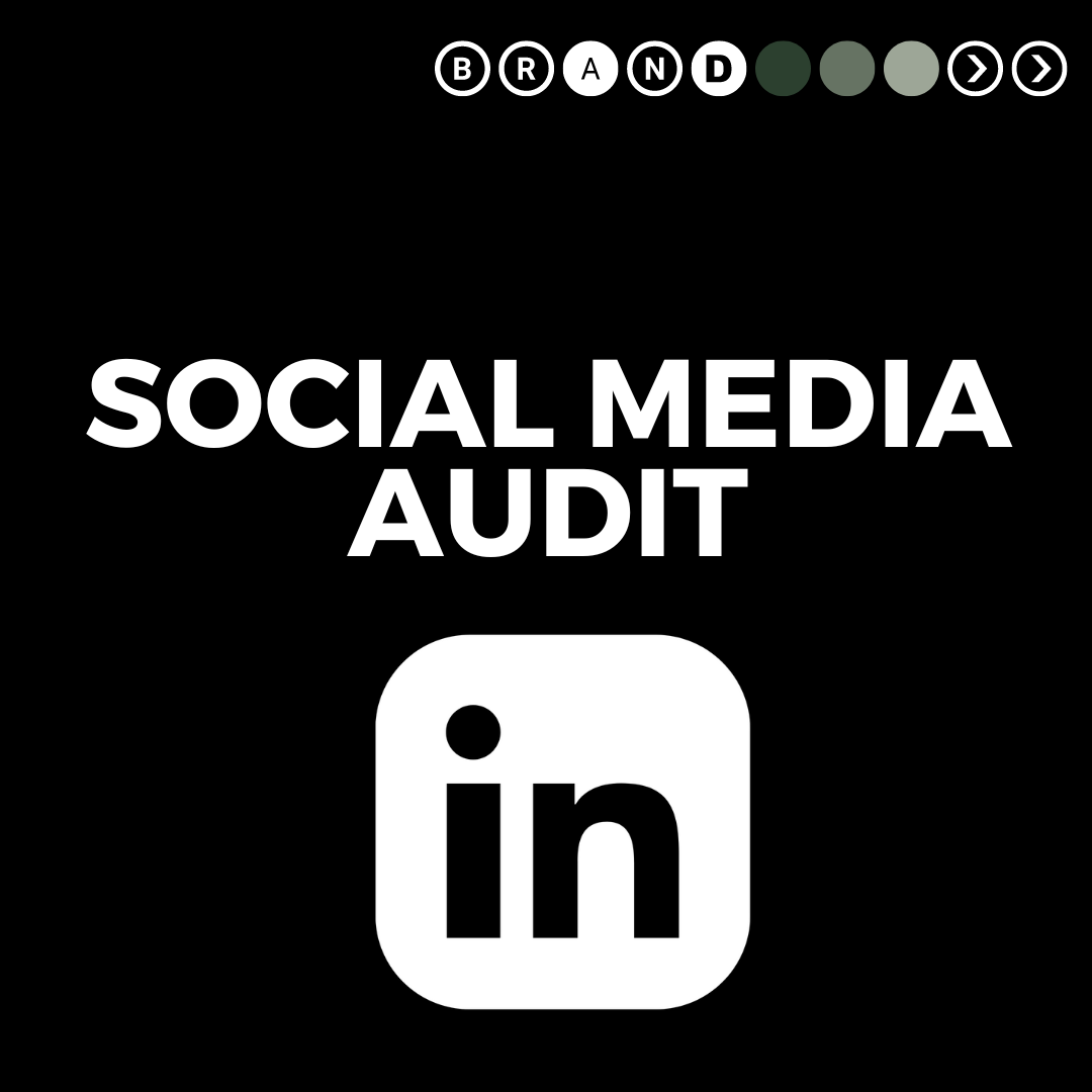 Social Media Audit