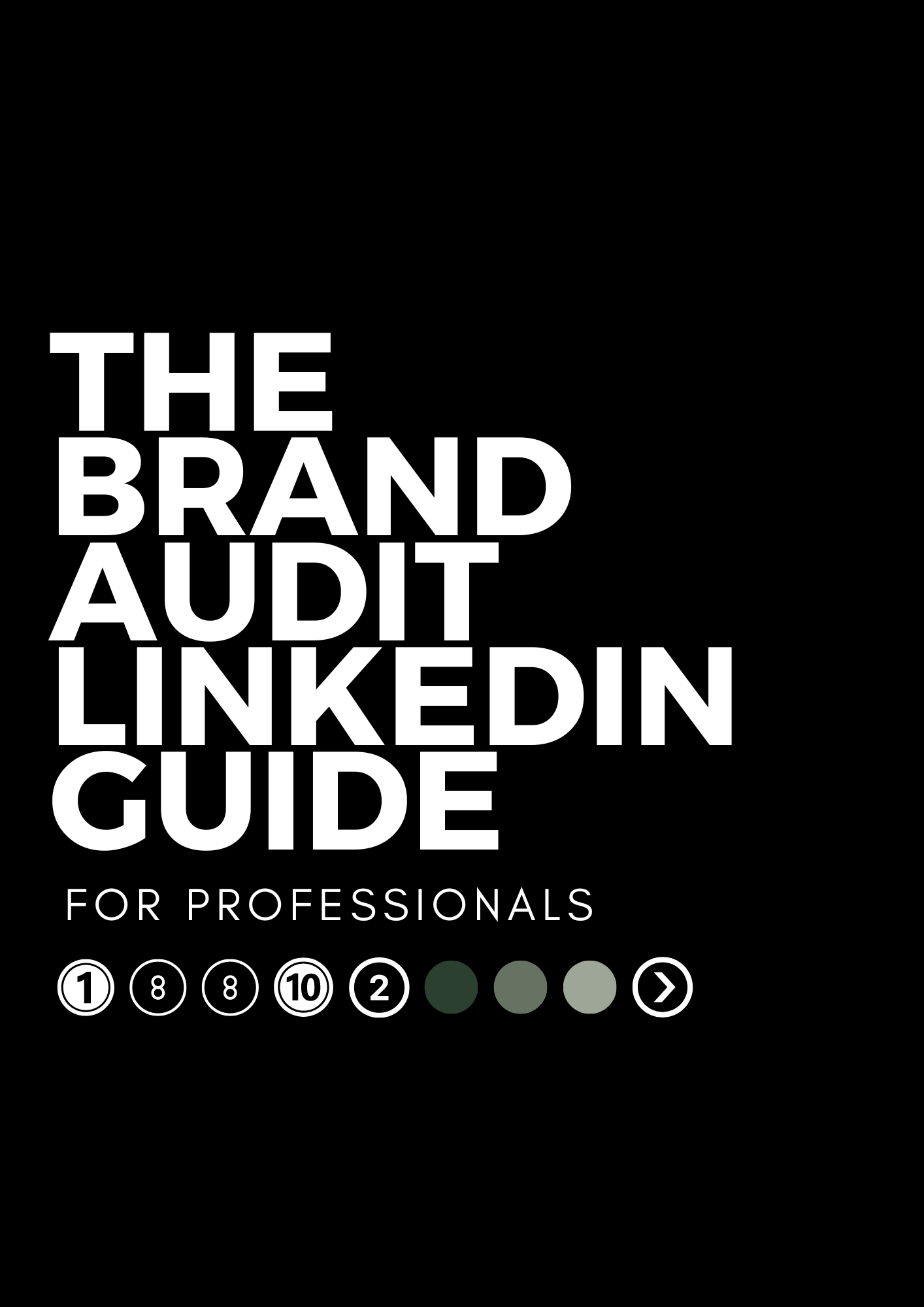 LinkedIn Guide for Professionals